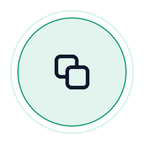 icon 1 fractional cto vpe